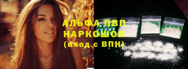 спиды Ельня
