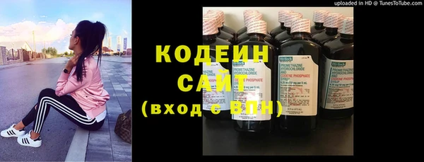 спиды Ельня