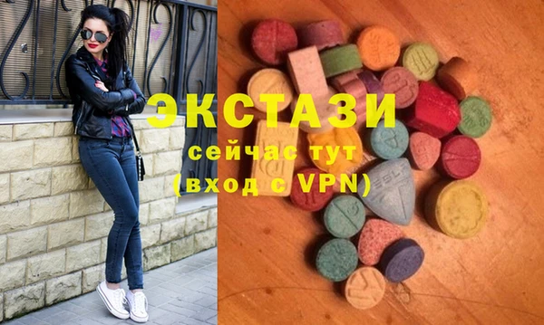 спиды Ельня