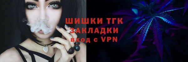 спиды Ельня