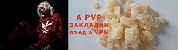 спиды Ельня