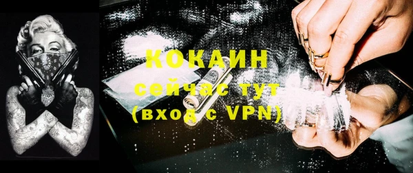 спиды Ельня