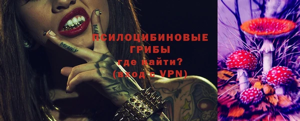 спиды Ельня