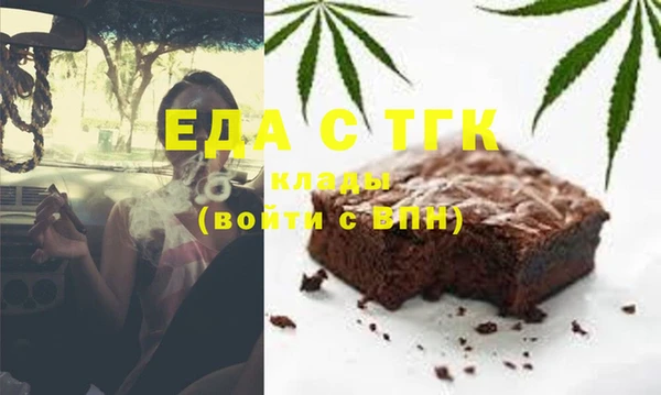 спиды Ельня
