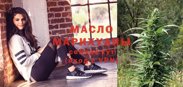 спиды Ельня